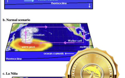 No La Niña Summer: My bearish attitude remains for corn and soybeans & Potential New  Weather Problems for Brazilian Coffee